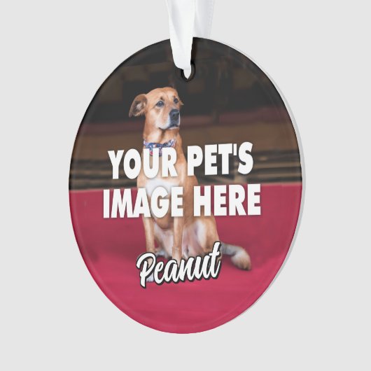 Ihr Foto Ornament (Vorderseite)