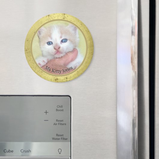 Ihr Foto/Text - Traditionelles Jahresgeschenk - Go Magnet (In Situ (Kühlschrank))