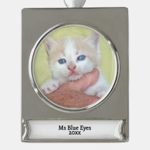 Ihr Foto/Text - Traditionelles Jährliches Geschenk Banner-Ornament Silber