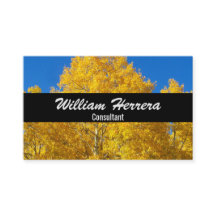 Ihr Fotomaterial elegant formatiertes Layout 100 i