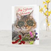 Ihr Furever Valentinstag Schöne Katze Karte (Gelbe Blume)