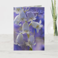 Ihr geschätzter Sohn, Beileidskarte