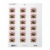 IHR GOAT FOTO Ziege Weihnachtsgeschenk-Tag Adressaufkleber (Vorne)