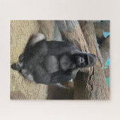 IHR GROSSES GORILLA-Rätsel Puzzle (Horizontal)