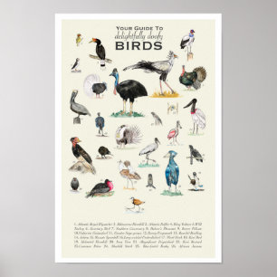 Ihr Guide to Doofy Birds 11x17 Poster