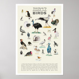 Ihr Guide to Doofy Birds 11x17 Poster