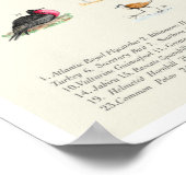 Ihr Guide to Doofy Birds 11x17 Poster (Ecke)