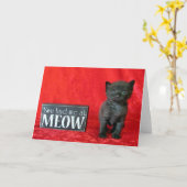 Ihr hattet mich bei Meow - Pepper (alias Jelly Bea Karte (Gelbe Blume)