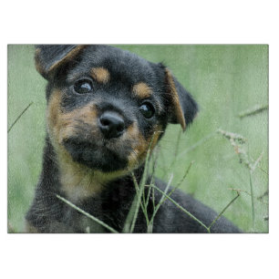 Ihr Hausbild personalisiert die Glaszuführung Schneidebrett