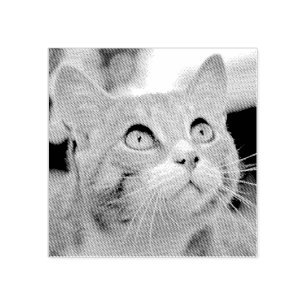 Ihr Haustier   Aus Foto   Benutzerdefiniert Gummistempel