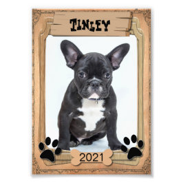 Ihr Haustier - dekorative Fotovorlage Fotodruck