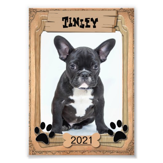 Ihr Haustier - dekorative Fotovorlage Fotodruck (Vorne)