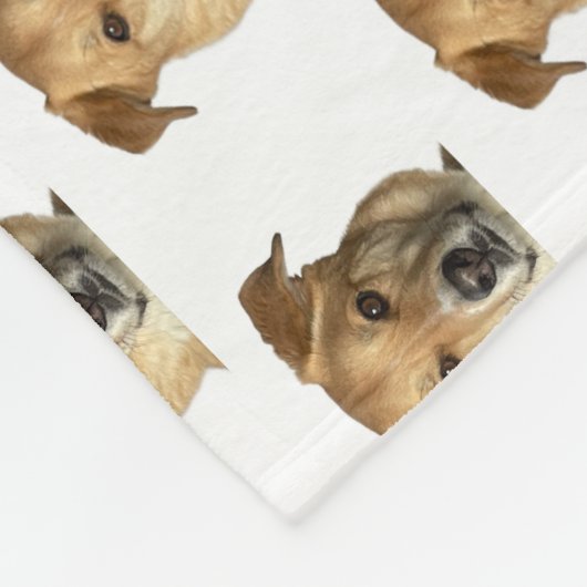 Ihr Haustier Foto Katze Custom Niedlich Funny Fleecedecke (Ecke)