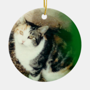 Ihr Haustier-Foto-Verzierungsgrün Keramik Ornament