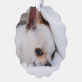 Ihr Haustier Hund benutzerdefinierte Foto chihuahu Ornament Karte (Links)