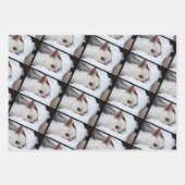 Ihr Haustier Hund Welpe 3 benutzerdefinierte Fotos Geschenkpapier Set (Vorderseite)