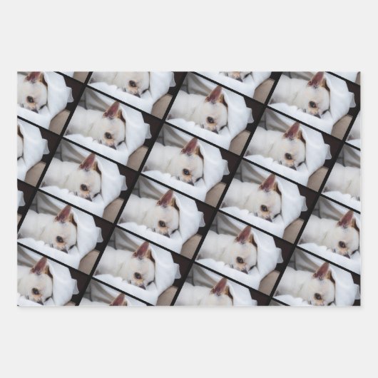 Ihr Haustier Hund Welpe 3 benutzerdefinierte Fotos Geschenkpapier Set (Vorderseite)