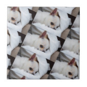 Ihr Haustier Hund Welpe benutzerdefinierte Foto ch Fliese (Vorderseite)