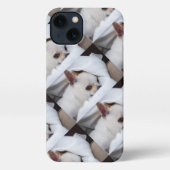 Ihr Haustier Hund Welpe benutzerdefinierte Foto ch iPhone Hülle (Rückseite)