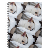 Ihr Haustier Hund Welpe benutzerdefinierte Foto ch Notizblock (Vorderseite)