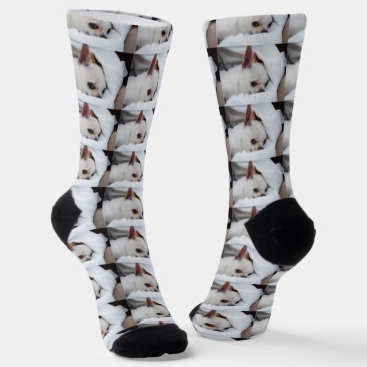 Ihr Haustier Hund Welpe benutzerdefinierte Foto ch Socken (Gewinkelt)