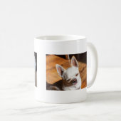Ihr Haustier Hund Welpe benutzerdefinierte Fotos s Kaffeetasse (VorderseiteRechts)