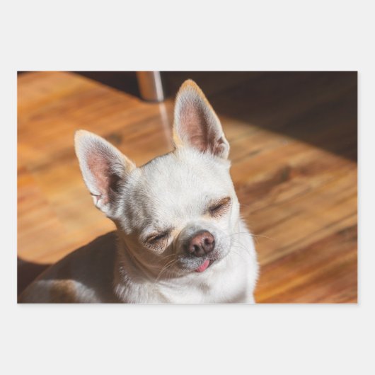 Ihr Haustier Hund Welpe Custom 3 Foto chihuahua Geschenkpapier Set (Vorderseite 3)