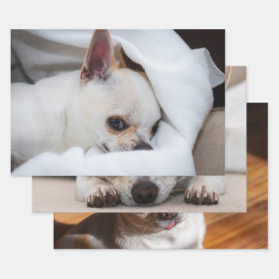 Ihr Haustier Hund Welpe Custom 3 Foto chihuahua Geschenkpapier Set