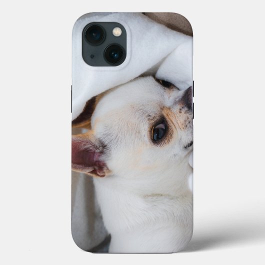 Ihr Haustier Hund Welpe Foto chihuahua Case-Mate iPhone Hülle (Rückseite)