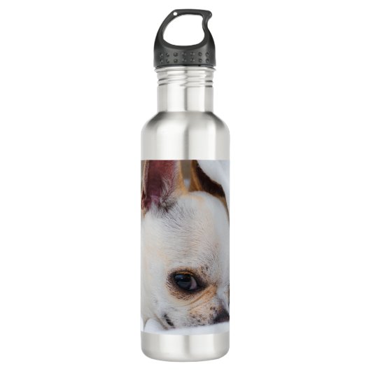 Ihr Haustier Hund Welpe Foto chihuahua Edelstahlflasche (Vorderseite)