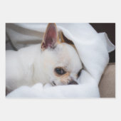 Ihr Haustier Hund Welpe Foto chihuahua Geschenkpapier Set (Vorderseite)