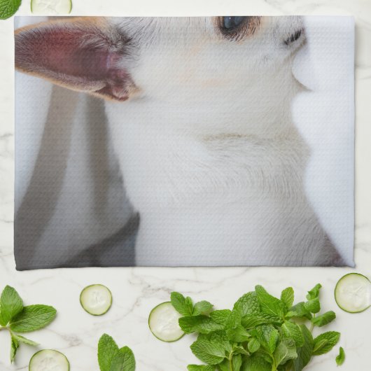 Ihr Haustier Hund Welpe Foto chihuahua Geschirrtuch (Gefaltet)