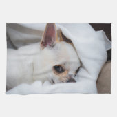 Ihr Haustier Hund Welpe Foto chihuahua Geschirrtuch (Horizontal)