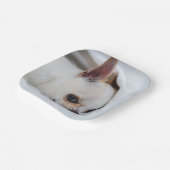 Ihr Haustier Hund Welpe Foto chihuahua Pappteller (Gewinkelt)