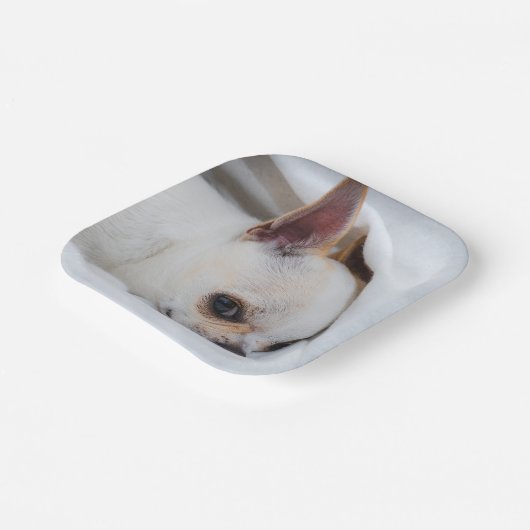 Ihr Haustier Hund Welpe Foto chihuahua Pappteller (Gewinkelt)