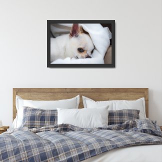 Ihr Haustier Hund Welpe Foto chihuahua Poster