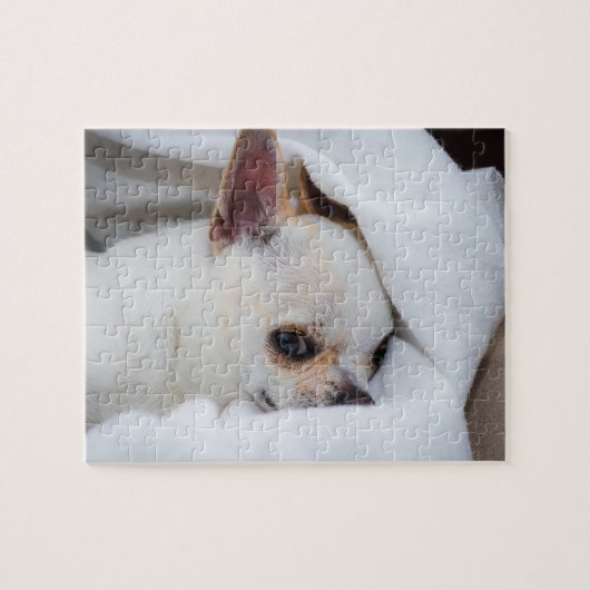 Ihr Haustier Hund Welpe Foto chihuahua Puzzle (Horizontal)