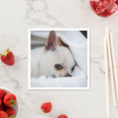 Ihr Haustier Hund Welpe Foto chihuahua Serviette (Beispiel)