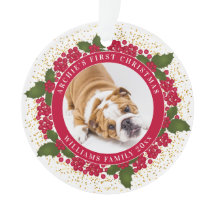 Ihr Haustier ist das erste Personalisierte Foto fü