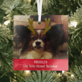 Ihr Haustier mit nassem Rentier-Foto Ornament Aus Glas
