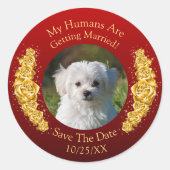 Ihr Haustierfoto, Datum speichern, goldene Blumen  Runder Aufkleber (Vorderseite)