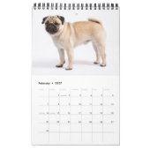 Ihr Hund 14 Fotos Zitat 2026 Kalender (Feb 2027)