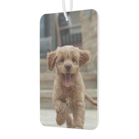 Ihr Hund | 2 Foto Niedliches Pet-Bild hochladen Autolufterfrischer (Links)