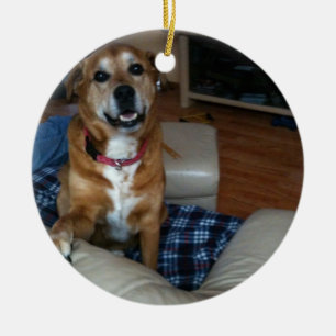 Ihr Hund auf einem Ornament