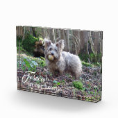 Ihr Hund Foto für immer in unserem Hearts Pet Memo (Rechts)