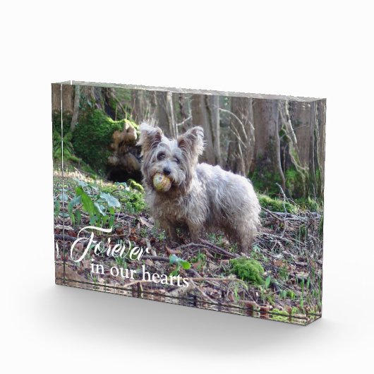 Ihr Hund Foto für immer in unserem Hearts Pet Memo (Rechts)