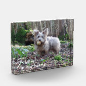 Ihr Hund Foto für immer in unserem Hearts Pet Memo (Links)