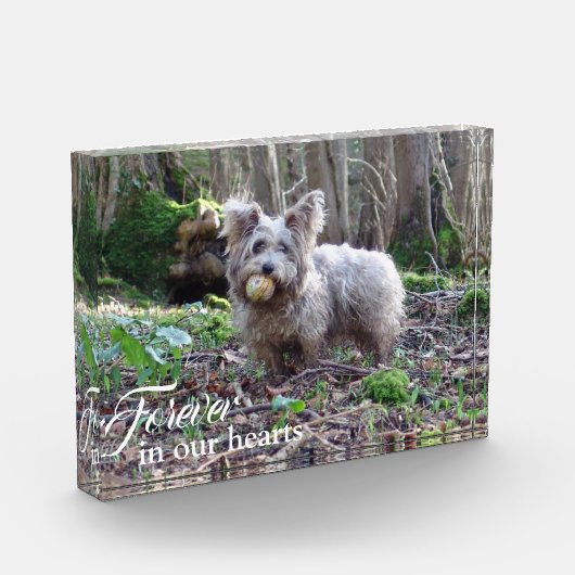 Ihr Hund Foto für immer in unserem Hearts Pet Memo (Links)