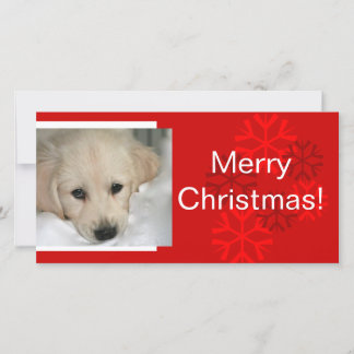 Ihr Hund Foto Snowflake Weihnachtskarte Feiertagskarte