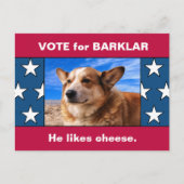 Ihr Hund in der lustigen US-Wahlkampagne Parody 20 Postkarte (Vorderseite)